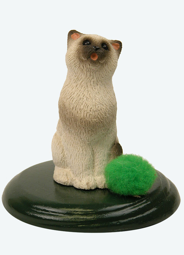 Sealpoint Cat